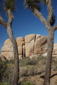 Big Rocks at Joshua Tree