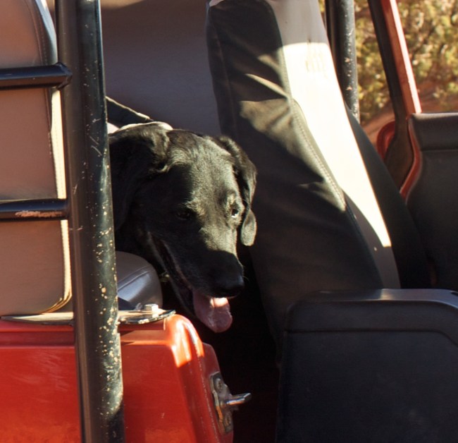 IMG_9177 - Version 2