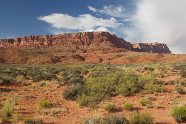 Leaving the Vermillion cliffs