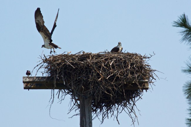 Leaving On A Hunting Trip "Be Back Soon"