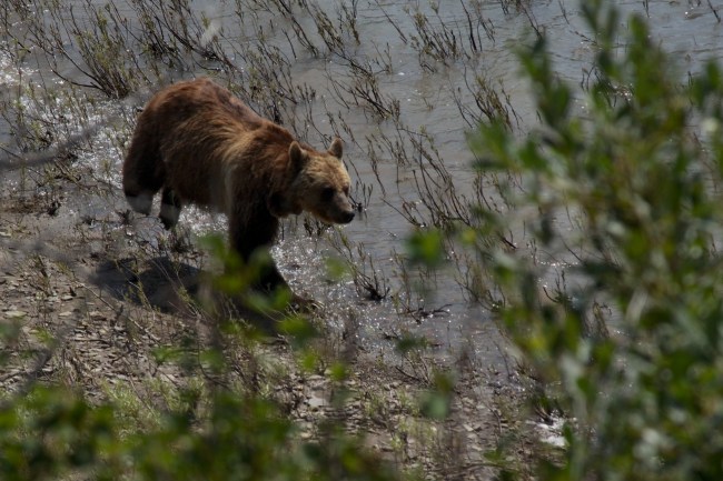 IMG_4055 - Version 2