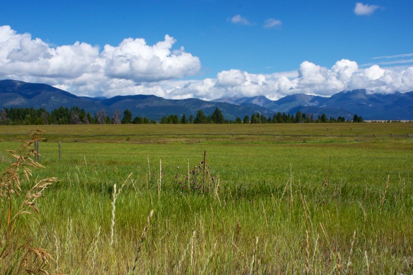Green meadows, miles of vast uncluttered land, and huge mountains in the background.