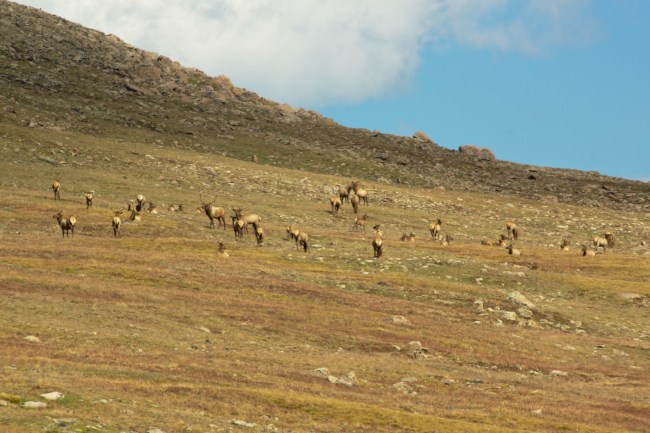 IMG_6237 - Version 2