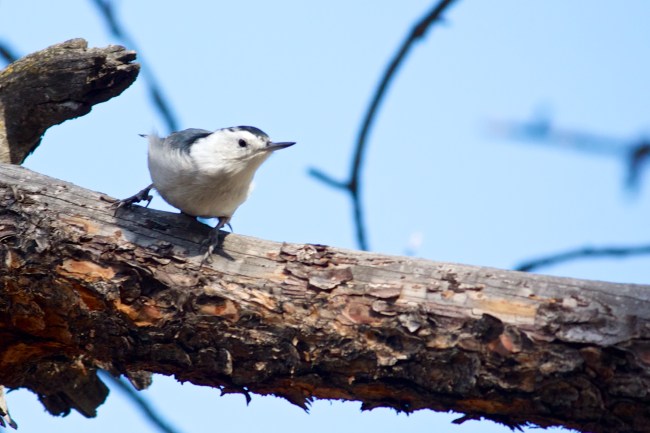 IMG_6377 - Version 2