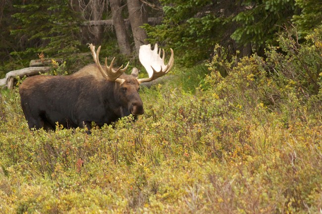 IMG_6470 - Version 2