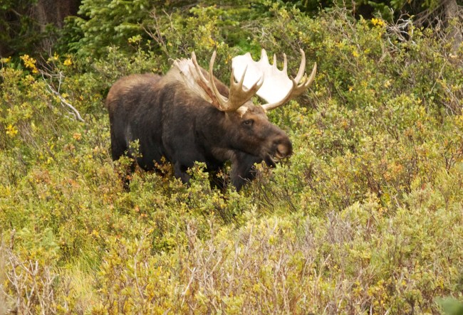 IMG_6545 - Version 2