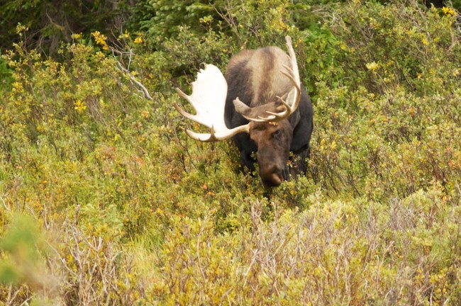 IMG_6554 - Version 2