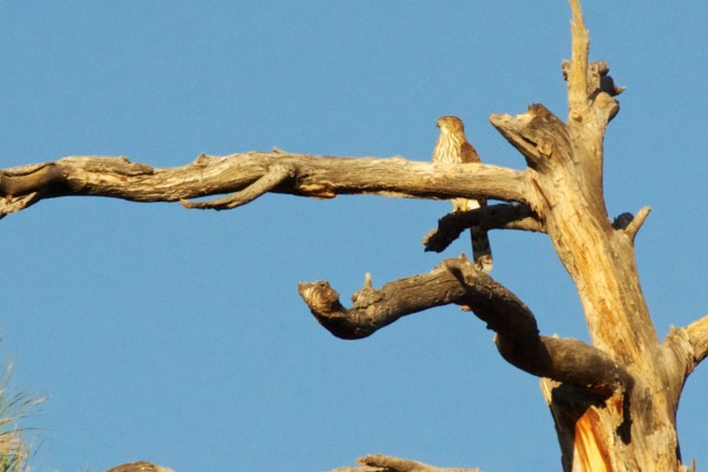 IMG_7698 - Version 2