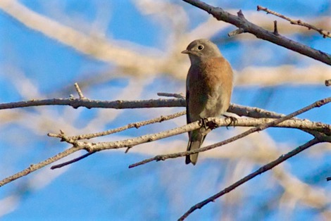 img_7757-version-2 (1)