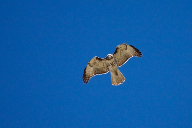 IMG_7956 - Version 2