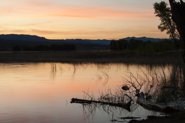 20150325-Parhangat to wild horses to corn springs-19