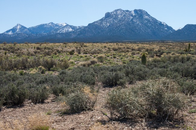 20150328-Parhangat to wild horses to corn springs-136