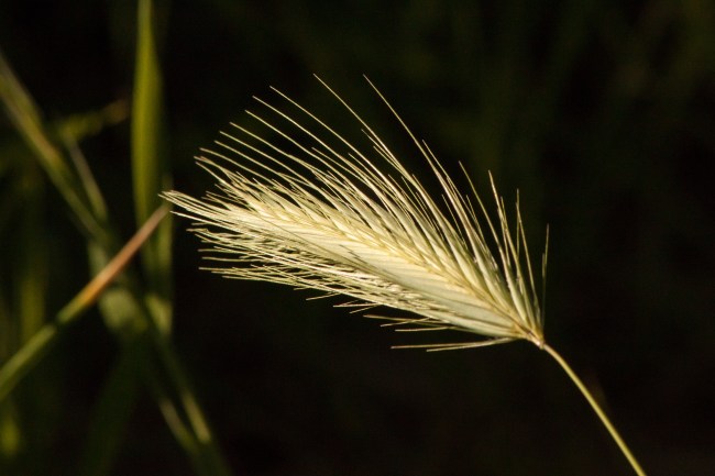 20150408-Folsom Lake, Folsom, CA-109