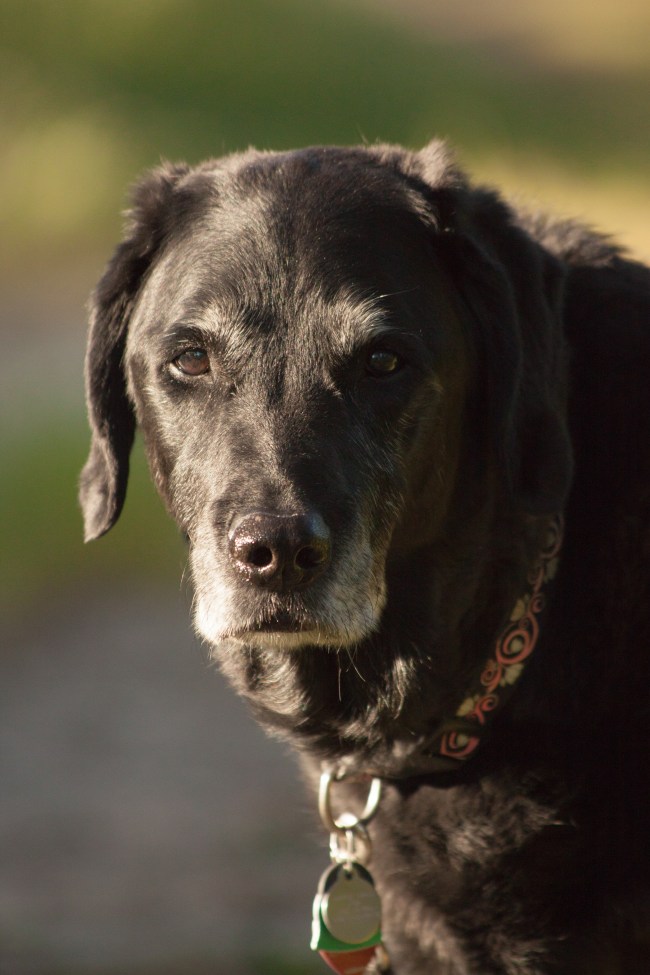 Folsom Lake, California