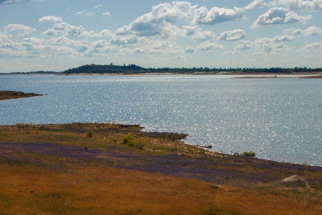 20150408-Folsom Lake, Folsom, CA-30