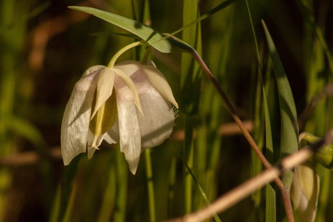 20150408-Folsom Lake, Folsom, CA-79