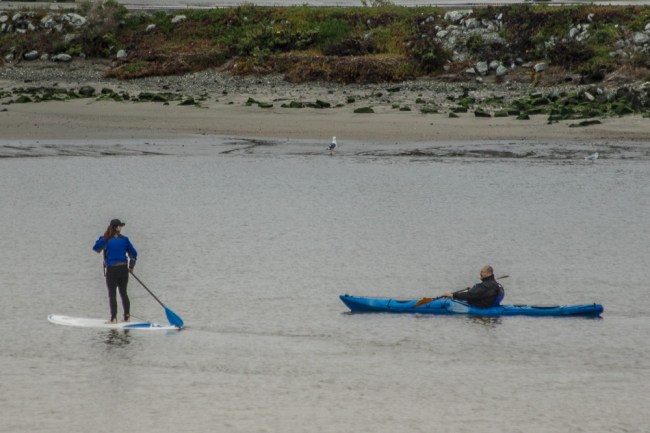 20160117-4B2A5026Santa Cruz-SLO_2016